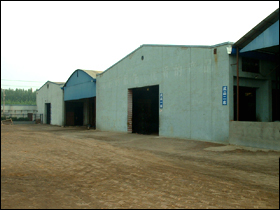 �S(ch��ng)�ݏS(ch��ng)ò